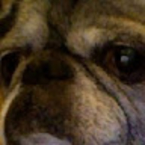 Meet your Posher, Emily - Picture 1 of 1